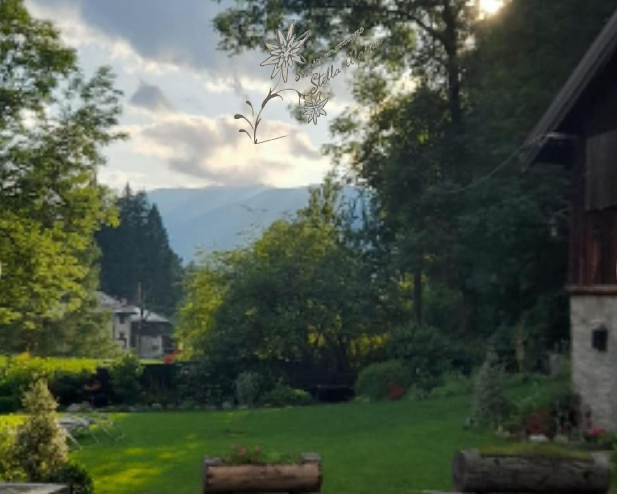 Soggiorno Vacanze Stella Alpina Temù Szoba fotó