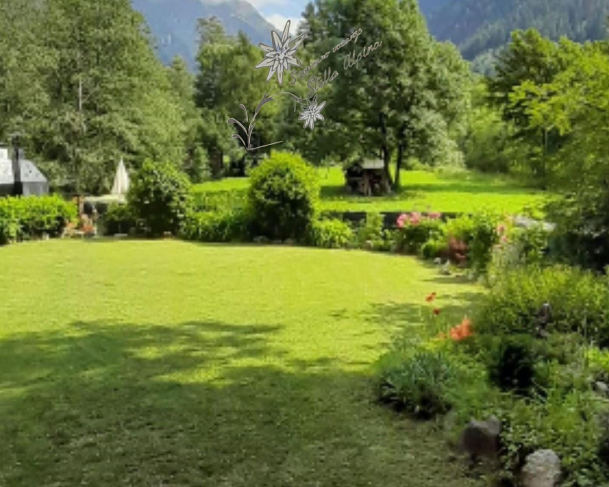 Soggiorno Vacanze Stella Alpina Temù Kültér fotó